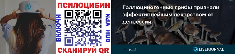 дарк нет официальный сайт  Вольск  Псилоцибиновые грибы GOLDEN TEACHER  цена наркотик 